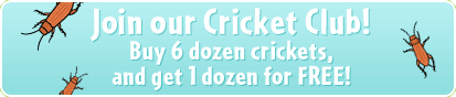 join our cricket club. buy six dozen, get one dozen free